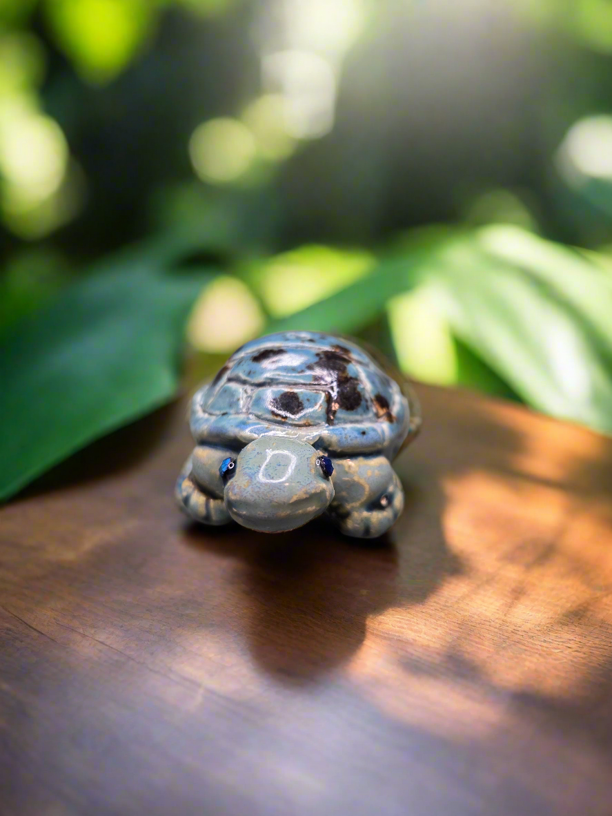 Tiny Turtle