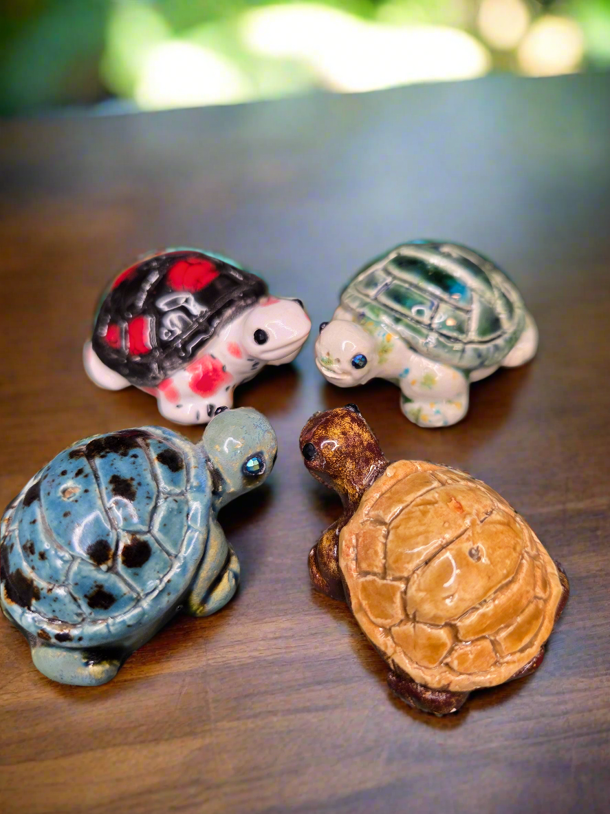 Tiny Turtle