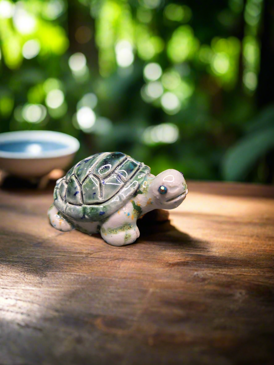 Tiny Turtle