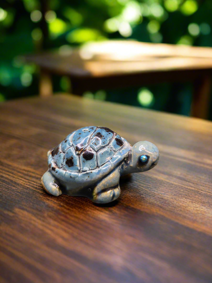Tiny Turtle