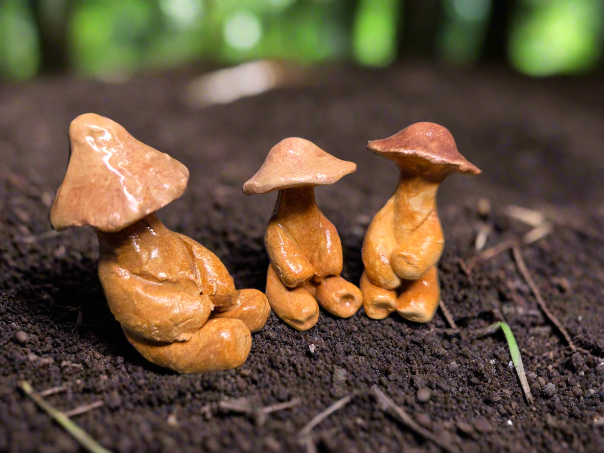 Tiny Mushroom
