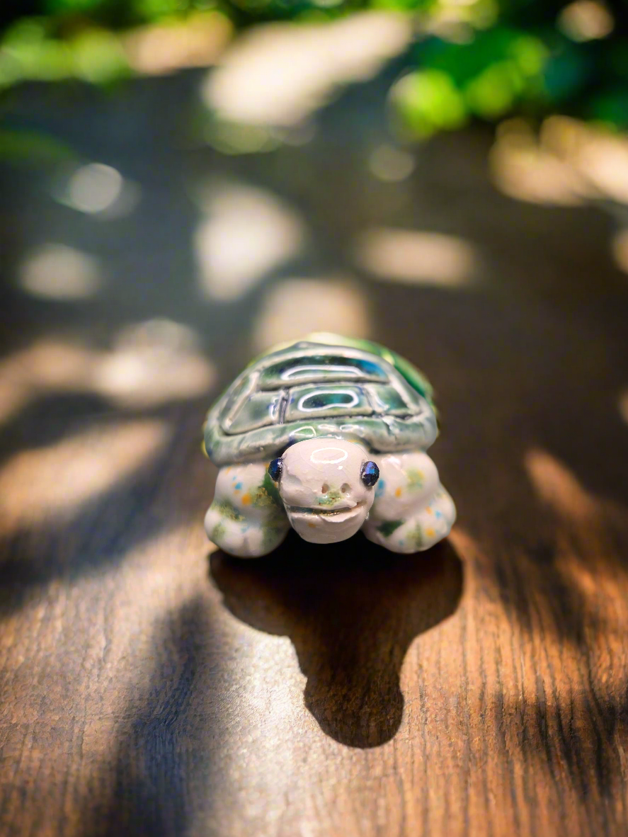 Tiny Turtle