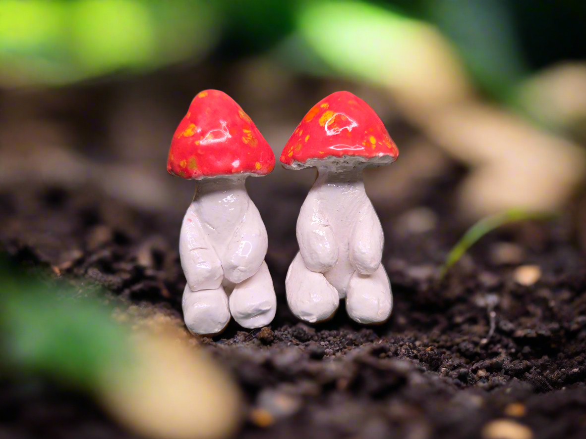 Tiny Mushroom