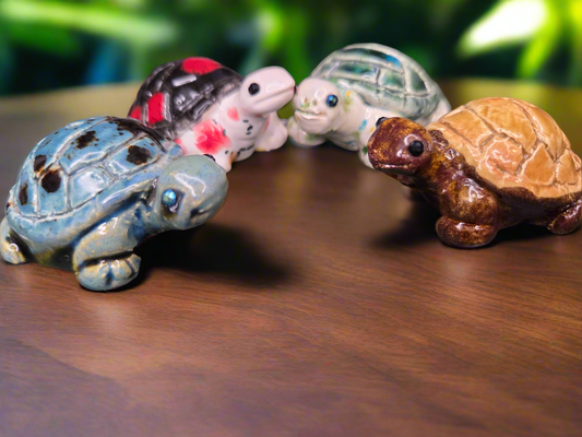 Tiny Turtle