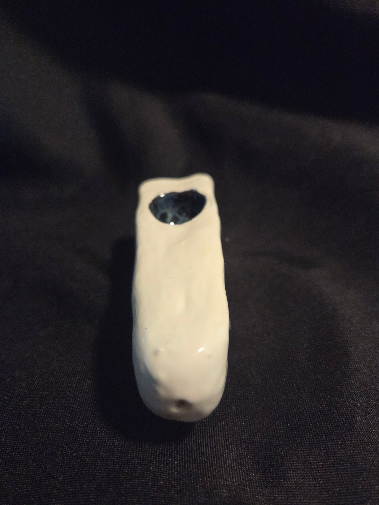 Ghost Pipe
